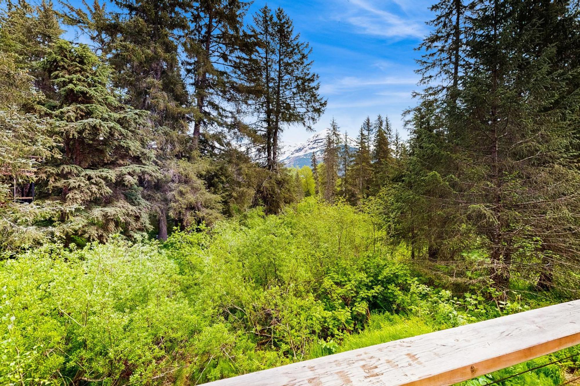 Girdwood Mountain House Villa Екстериор снимка